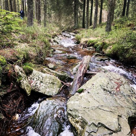 Camping Oos Heem - Lüttich - Image N°6