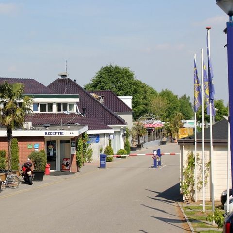 Vakantiepark De Oude Molen - Camping Berg en Dal - Image N°3