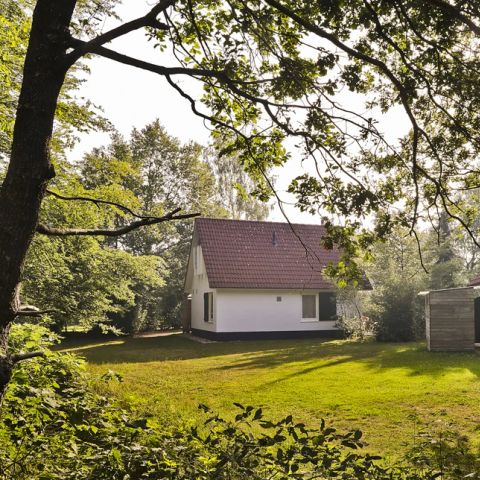 Summio Bungalowpark Het Drentse Wold - Camping Mitte-Drenthe - Image N°6