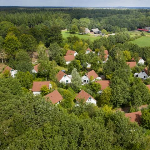 Summio Bungalowpark Het Drentse Wold - Camping Mitte-Drenthe - Image N°5