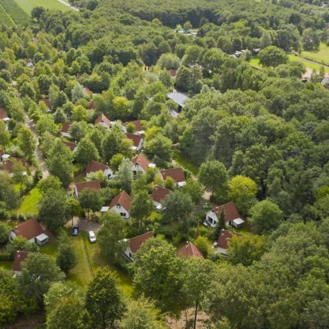 Summio Bungalowpark Het Drentse Wold - Camping Mitte-Drenthe - Image N°2