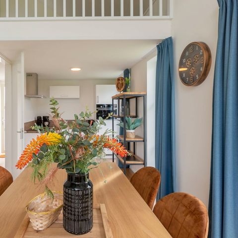 Villa 6 Personen - Drentsche E