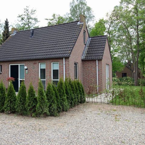 Bungalow 6 Personen - Das Mufflon