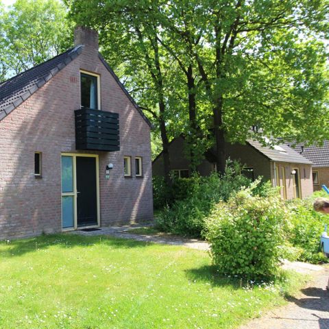 Bungalow 4 Personen - Wald