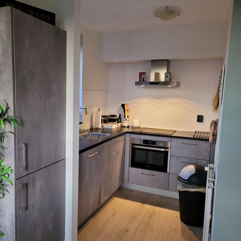 Bungalow 6 personen - der flämische Riese 195