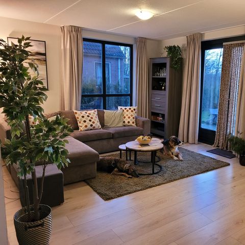 Bungalow 6 personen - der flämische Riese 195