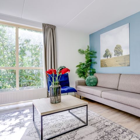 Bungalow 6 Personen - Wald 231