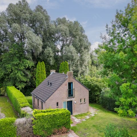Bungalow 6 personen - Wald 231
