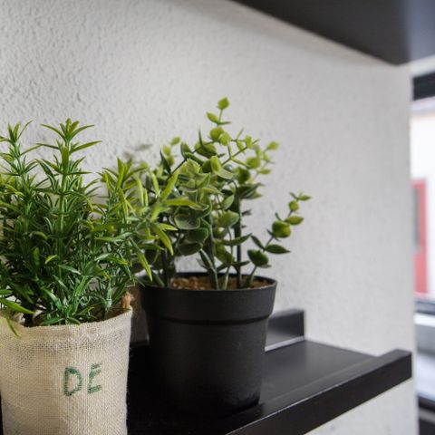 Bungalow 6 Personen - Seeufer 61