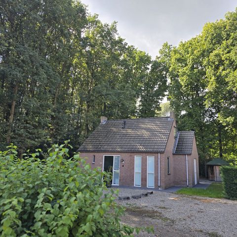 Bungalow 6 Personen - Wald 117 Sauna