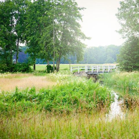 Landschapspark Striks Erve - Camping Staphorst - Image N°5