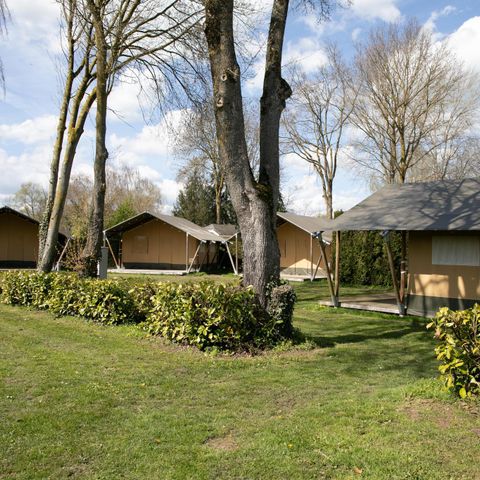 Safarizelt 6 Personen