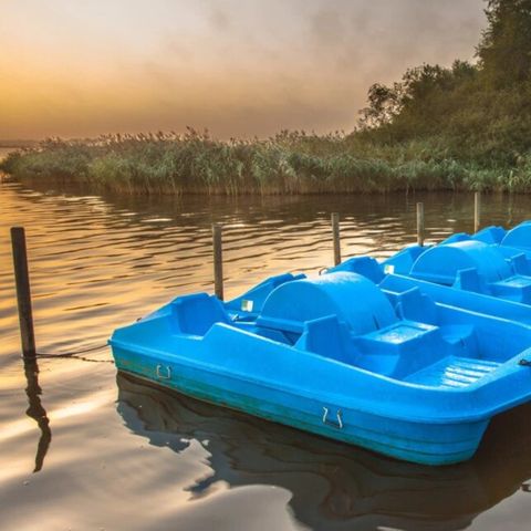 Summio Buitenplaats de Marke van Ruinen - Camping De Wolden - Image N°4