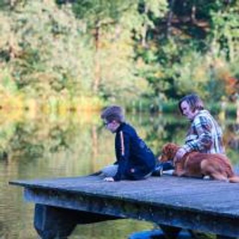 Domaine Le Boulac - Camping Belgisches Luxemburg - Image N°4