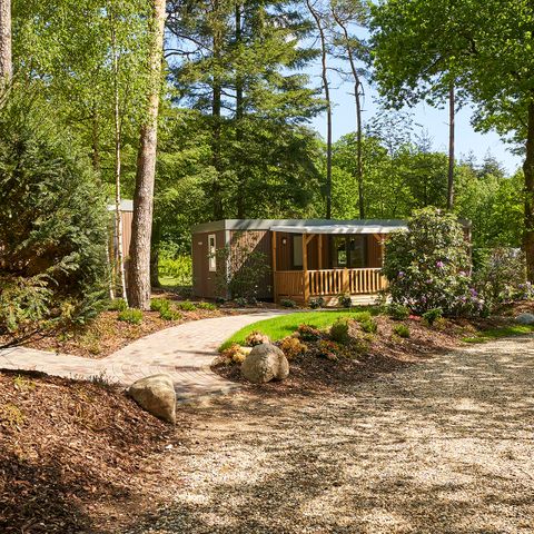 Bungalow 6 Personen - Forest Lodge Luxus