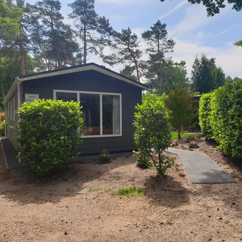 Mobilheim 4 Personen - Wellness