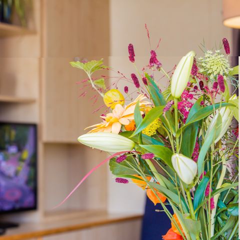 Chalet 5 Personen - Haustiere willkommen (max. 3 Erwachsene)