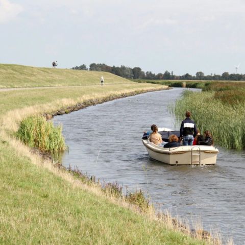 Summio Vakantiepark It Wiid - Tytsjerksteradiel - Image N°5