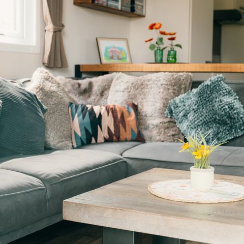 Chalet 6 Personen - Veluwe Lounge mit Whirlpool und Sauna