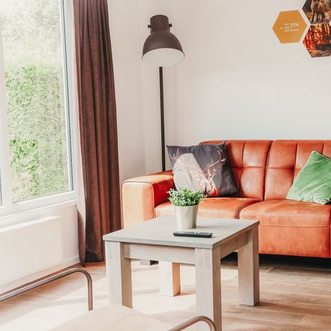Chalet 4 Personen - Veluwe Lodge mit Sauna