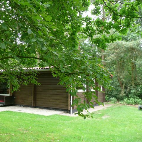 Bungalow 4 Personen - Finnischer Bungalow