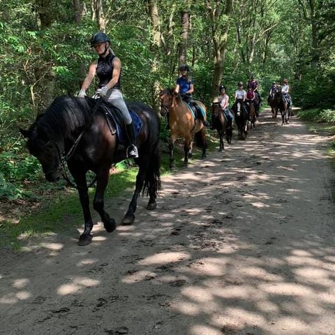 Vakantieoord De Bronzen Emmer - Coevorden - Image N°4