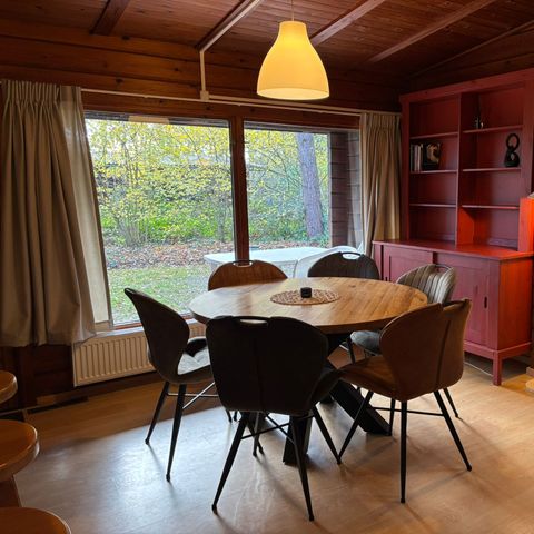 Vakantieoord De Bronzen Emmer - Camping Coevorden - Image N°2