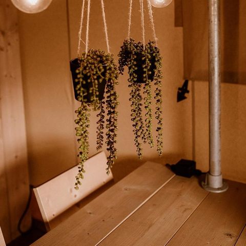 Zelt 5 Personen - klimatisiertes Glamping