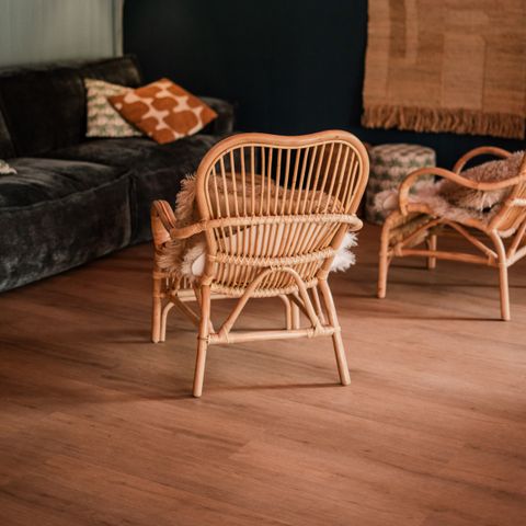 FERIENHAUS 24 Personen - Gruppenunterkunft Strandhuis + 4 Ferienhäuser (24 Personen)