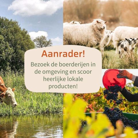 LODGE 4 Personen - Lodge Eiche