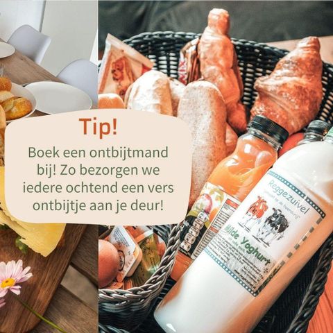 LODGE 4 Personen - Lodge Eiche