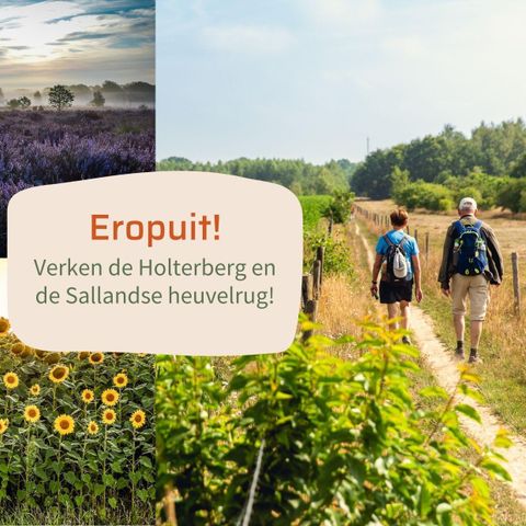 LODGE 4 Personen - Lodge Oak mit zwei eigenen Bädern