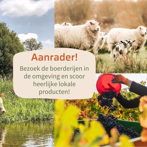 LODGE 2 Personen - Lodge Wellness mit Whirlpool, Sauna und Sonnendusche