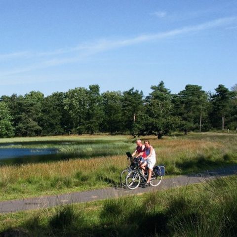 Vakantiepark Hölte - Rijssen-Holten - Image N°5