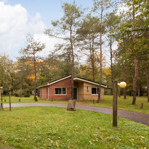 Summio Parc De Berkenhorst - Camping Barneveld - Image N°2