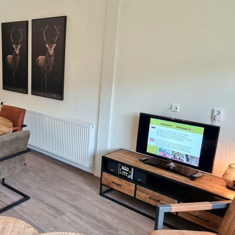 Bungalow 4 Personen - Komfort-Sauna