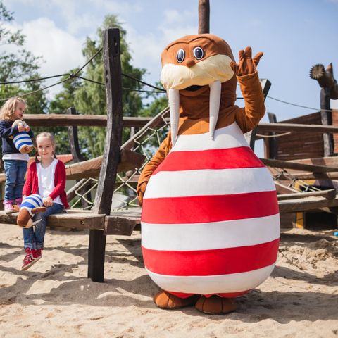 Trixi Ferienpark Zittauer Gebirge - Camping Sachsen - Image N°3