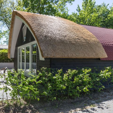 Bungalow 6 Personen - 4+2p Cottage HV