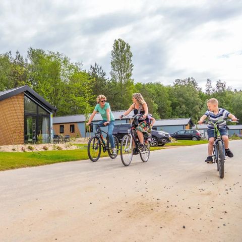 Chalet 4 Personen - Velthorst