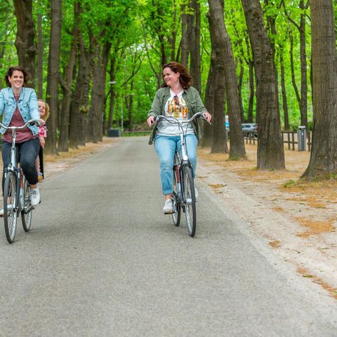 FERIENHAUS 6 Personen - Villa Brook