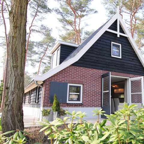 FERIENHAUS 6 Personen - Das Geheimnis von Otterlo