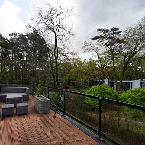 Bungalow 6 Personen - Würfel Elite