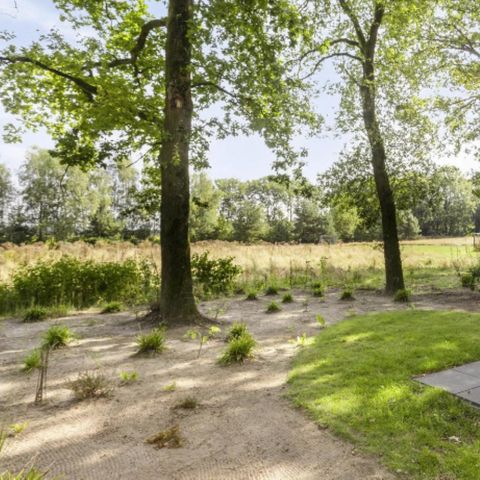 Chalet 4 Personen - Modul Holz