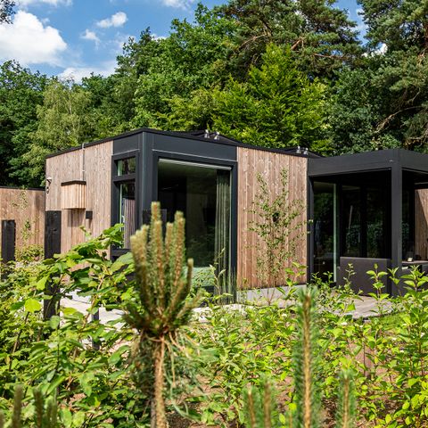 Bungalow 4 Personen - Veluwehoeve Wellness (Whirlpool)