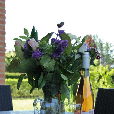 Bungalow 6 Personen - Grasdüne