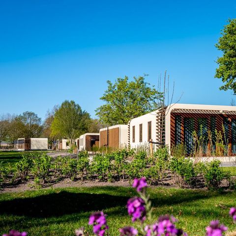 Bungalow 4 Personen - Modus