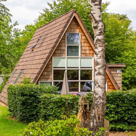 Ferienhaus 4 personen - Goldhähnchen