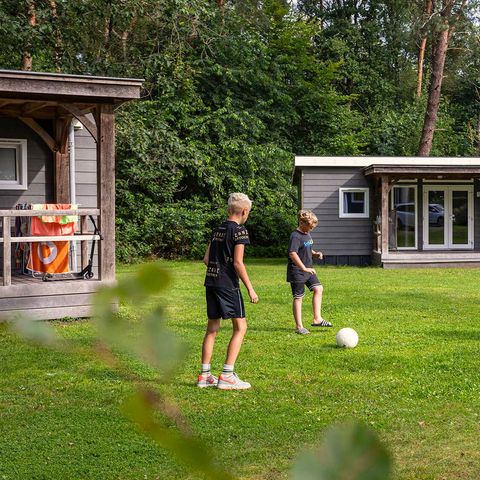 Chalet 6 Personen - Windröschen