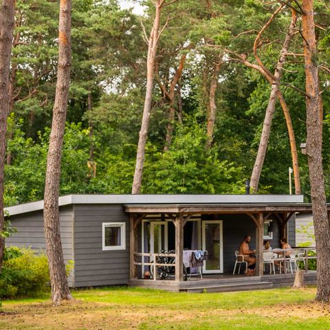 Chalet 6 Personen - Windröschen