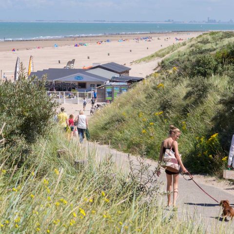 Molecaten Park Hoogduin - Camping Cadzand - Image N°2